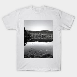 Oasis on the Lake T-Shirt